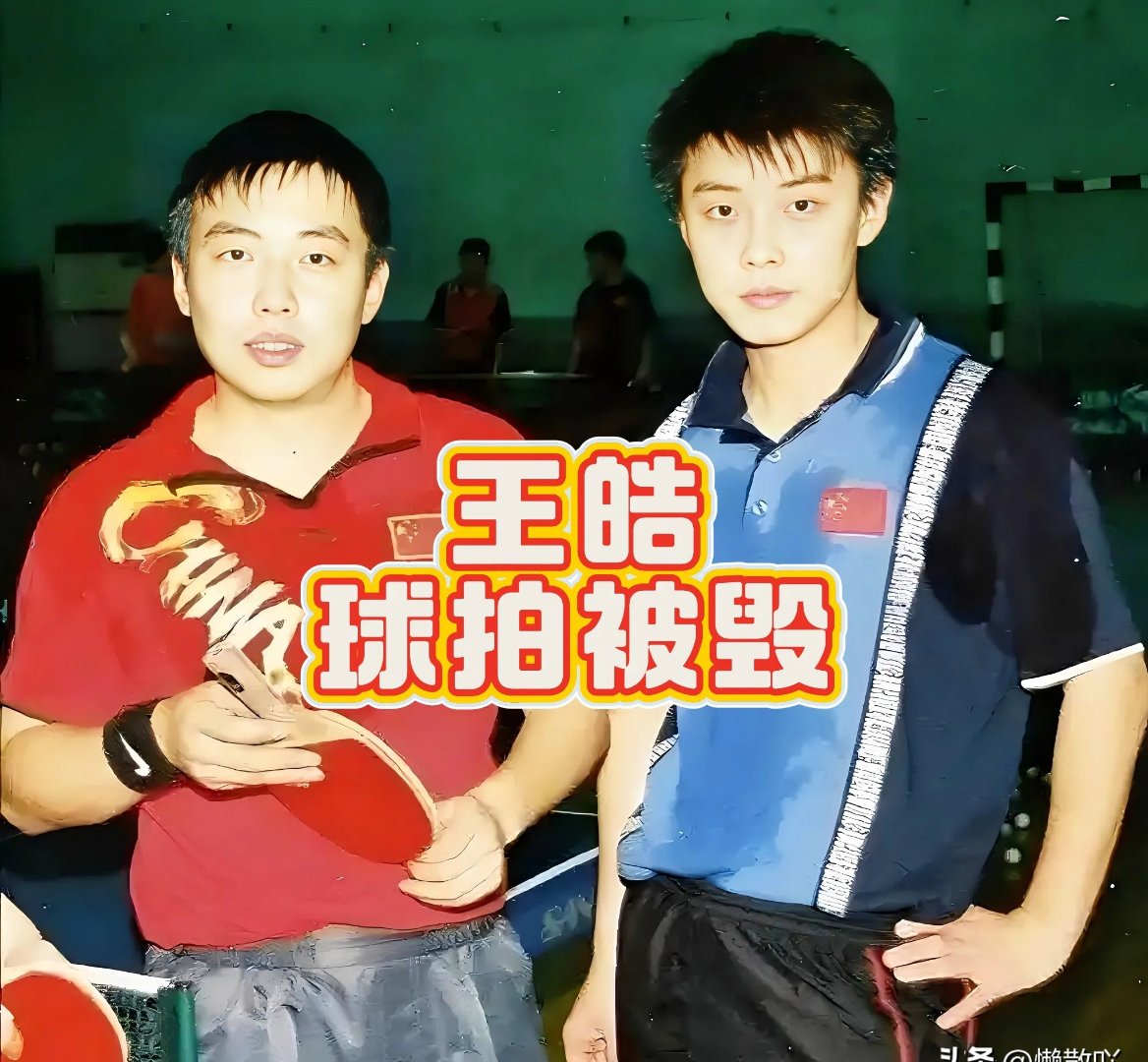 日本队横扫奥地利队，王皓统治全场