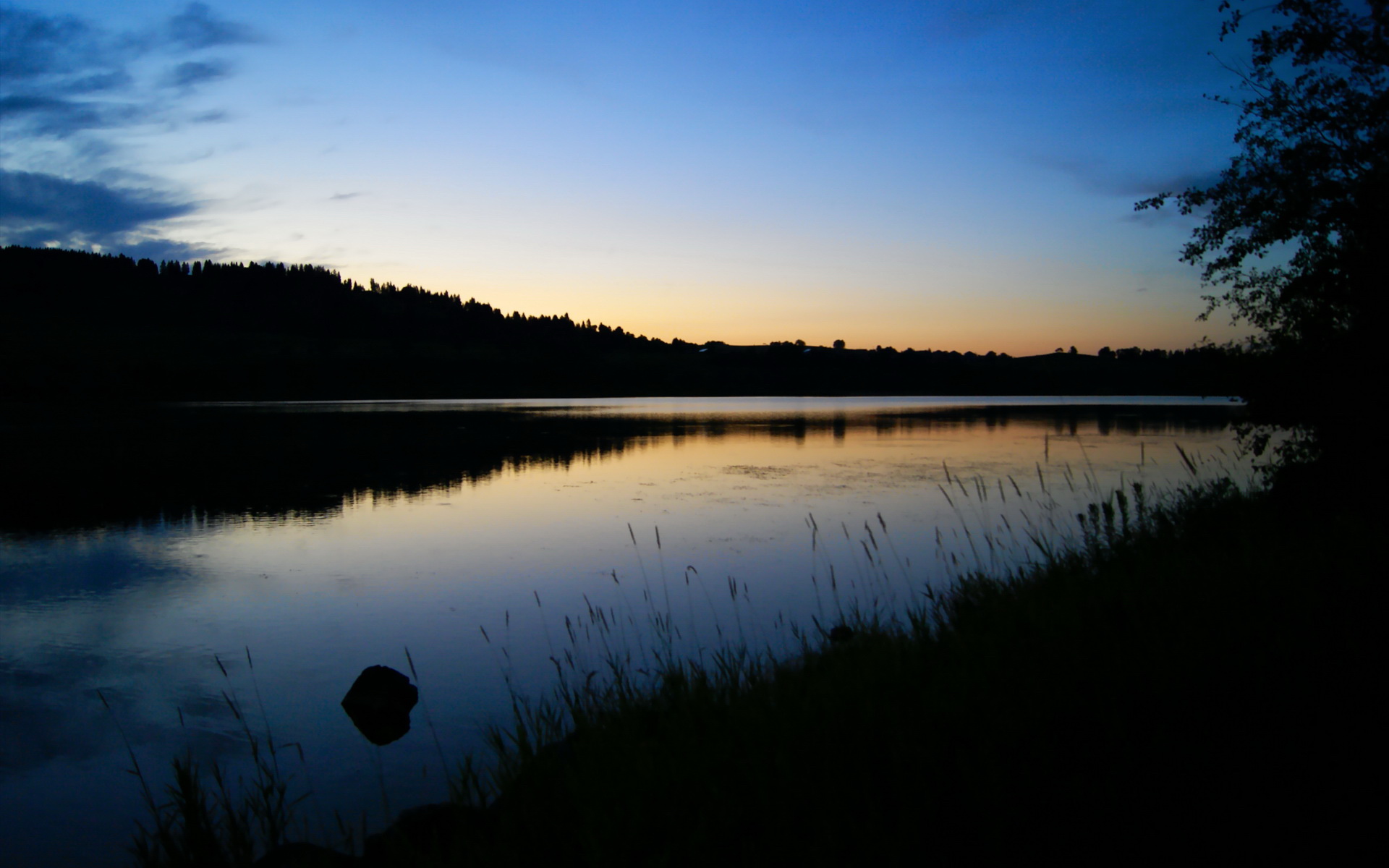 森林狼强势压制鹈鹕,锡安跨界德甲争冠战惊艳全场,篮球巨星的多元影响力