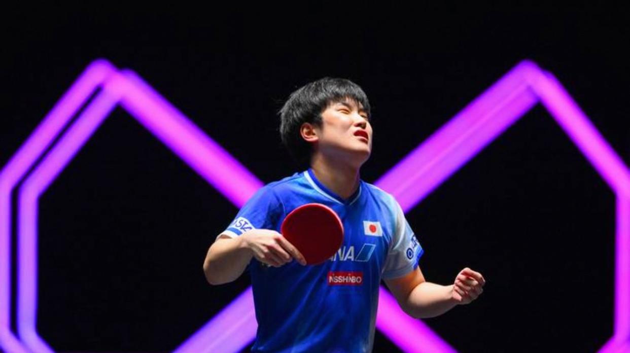 日本队完胜奥地利队，张本智和刷新纪录
